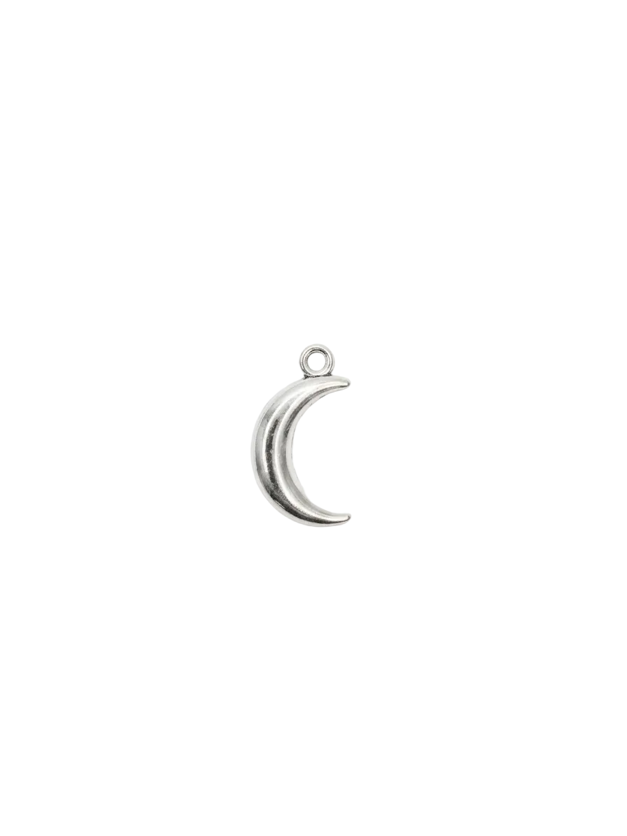Charms Silver