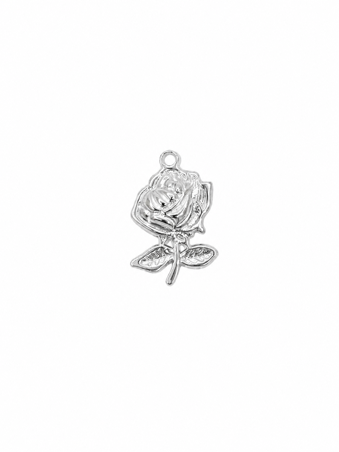 Charms Silver
