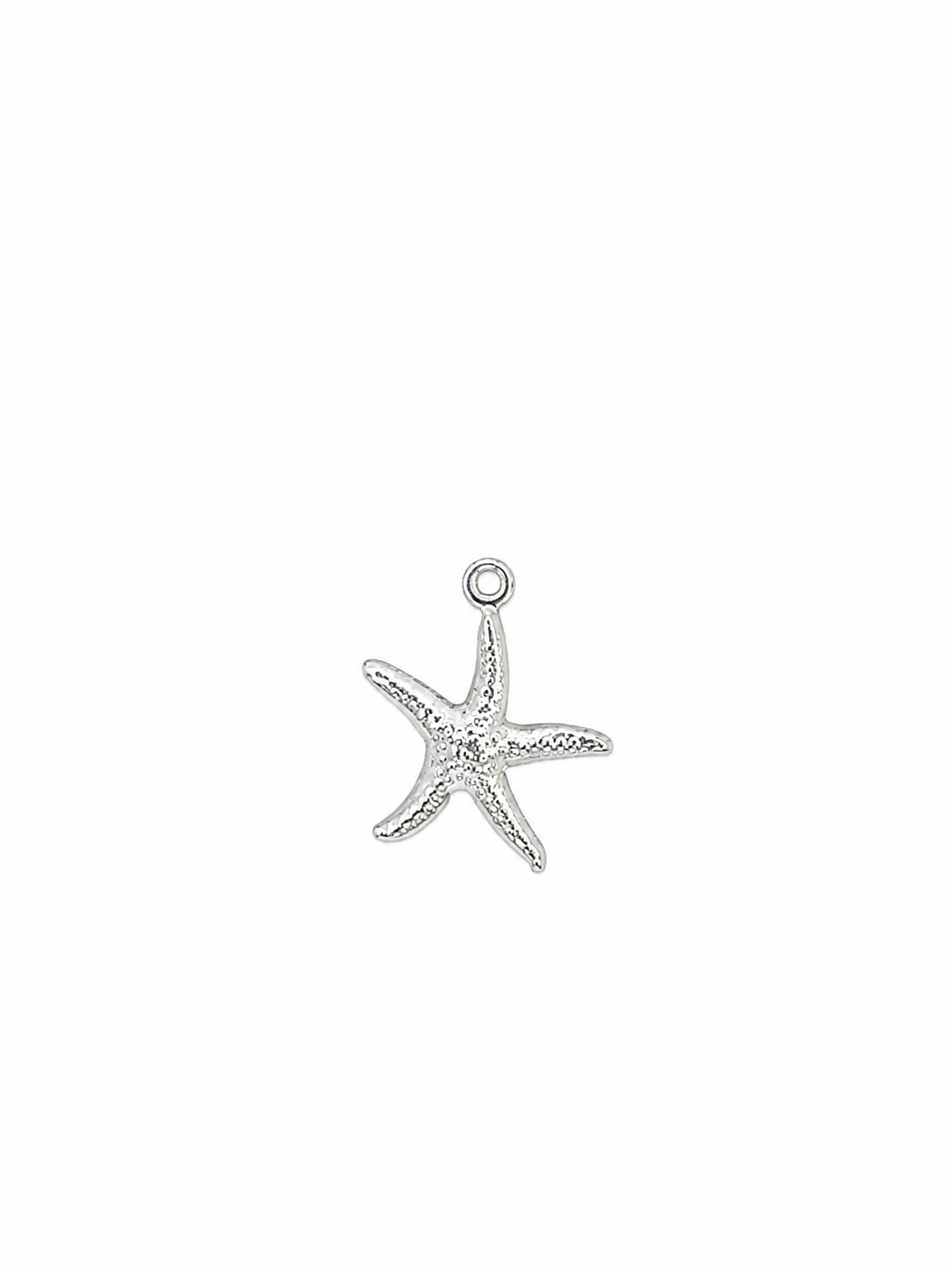 Charms Silver