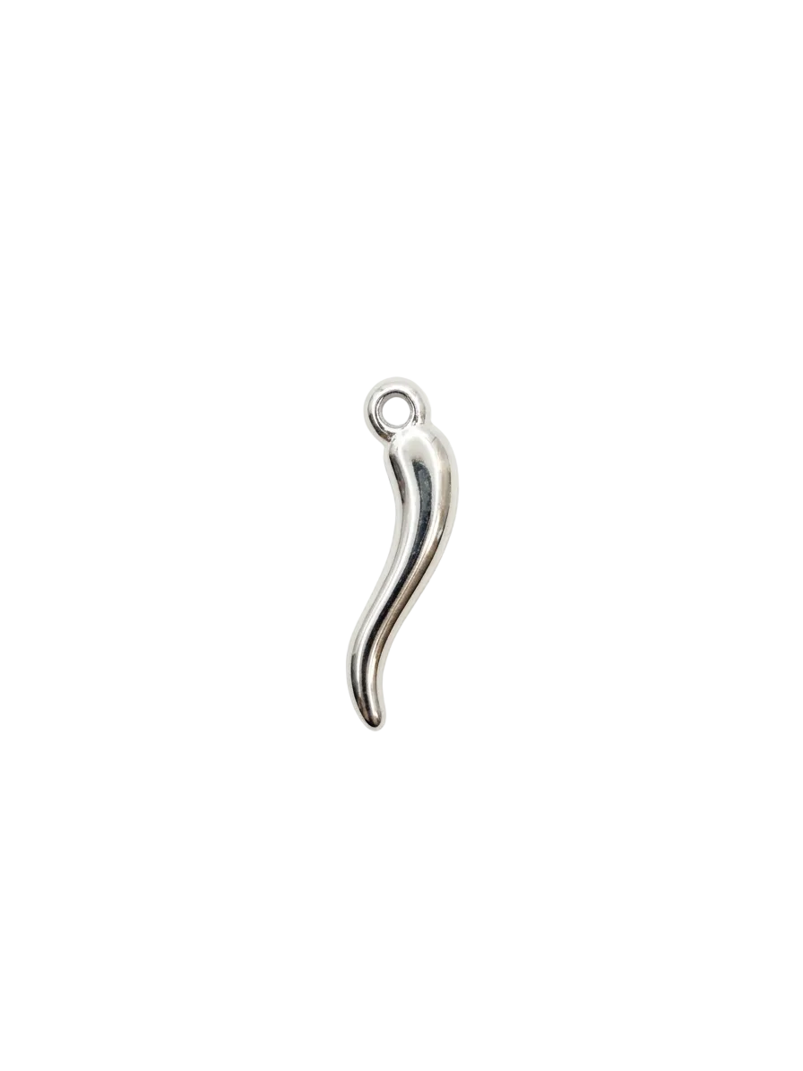 Charms Silver